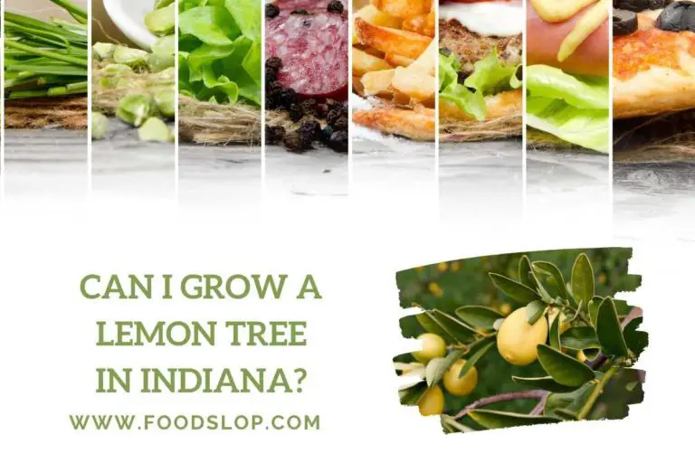 Can I Grow a Lemon Tree in Indiana?