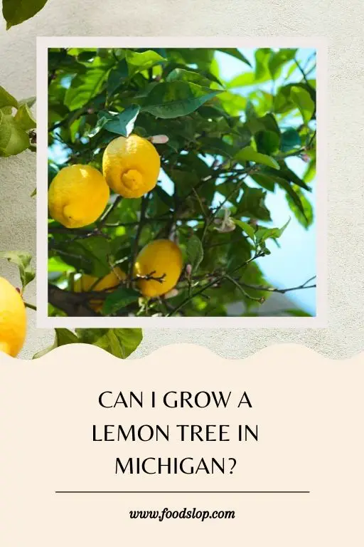 Can I Grow a Lemon Tree in Michigan
