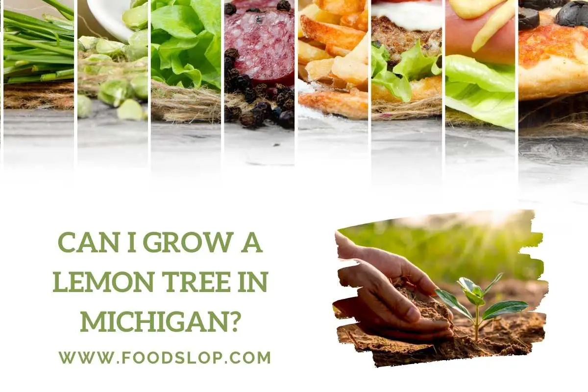can-i-grow-a-lemon-tree-in-michigan-explained-foodslop