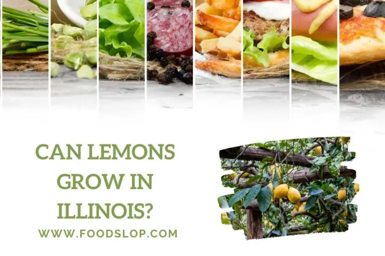 Can Lemons Grow in Illinois?