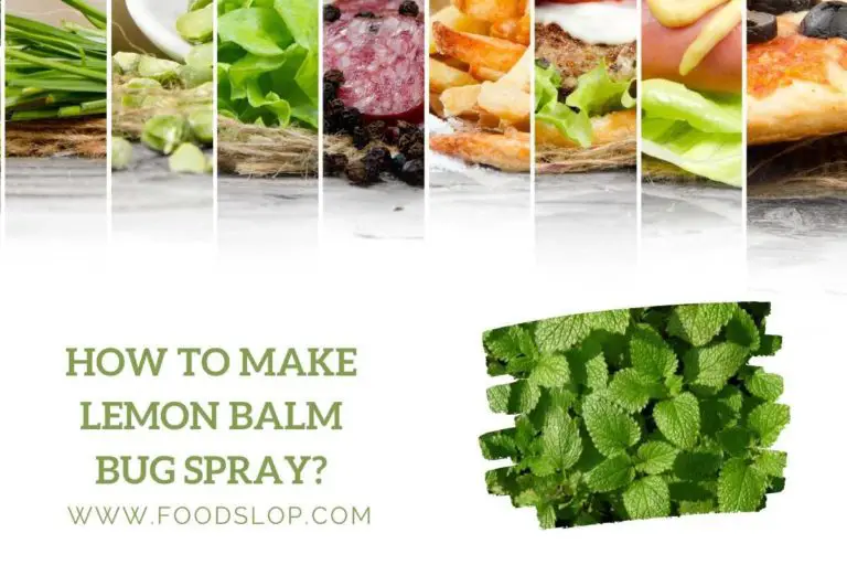 How to Make Lemon Balm Bug Spray?