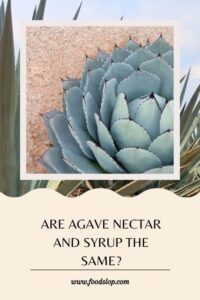 Are Agave Nectar And Syrup The Same. 200x300 