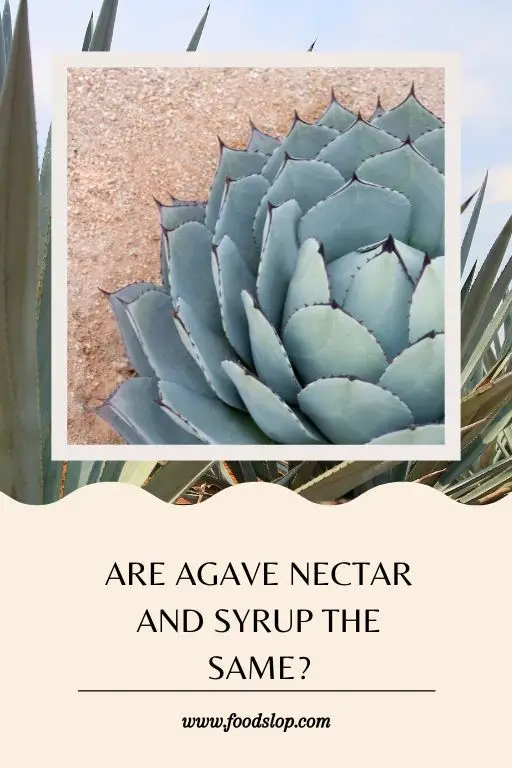 Are Agave Nectar And Syrup The Same?