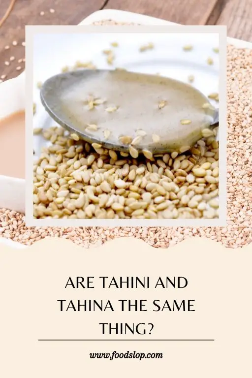Are Tahini And Tahina The Same Thing.