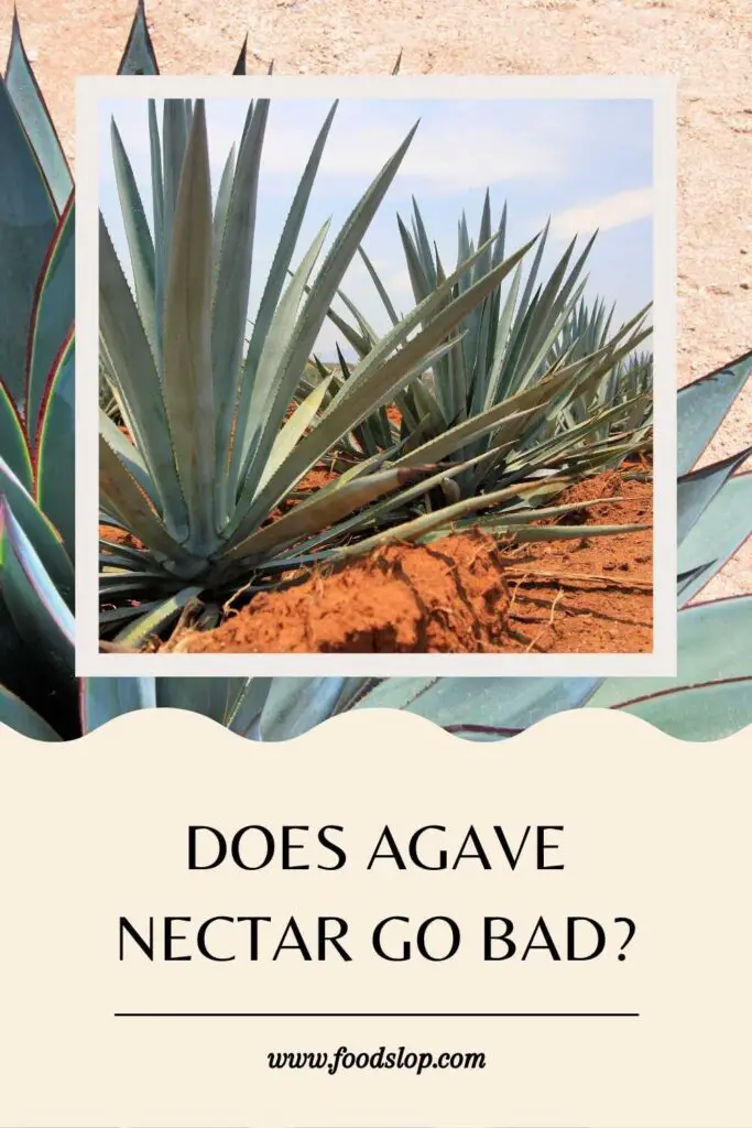 Does Agave Nectar Go Bad? 