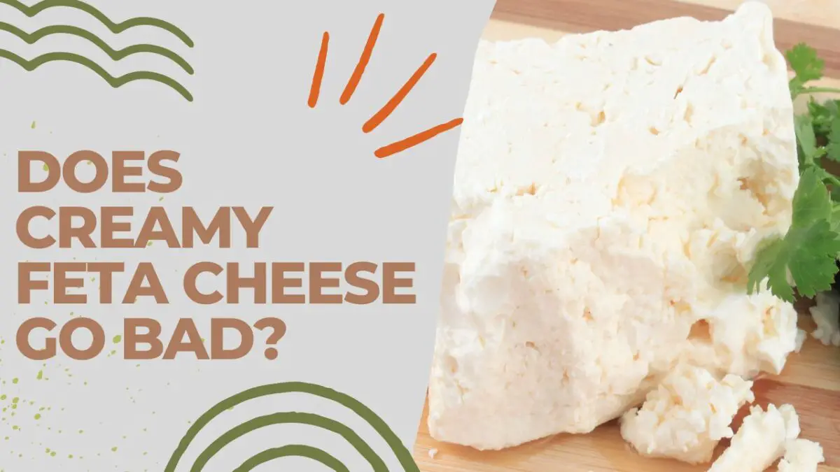 Does Creamy Feta Cheese Go Bad [Solved!]