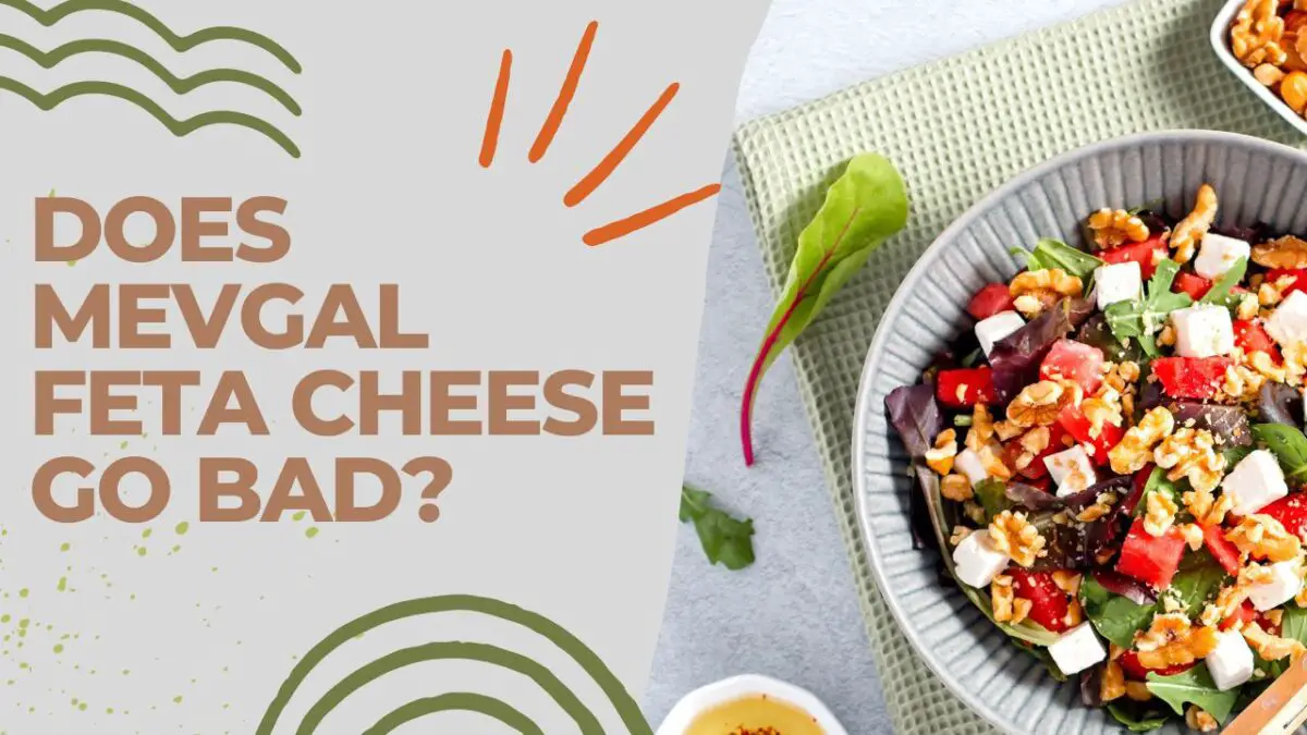 Does Mevgal Feta Cheese Go Bad [Explained!]
