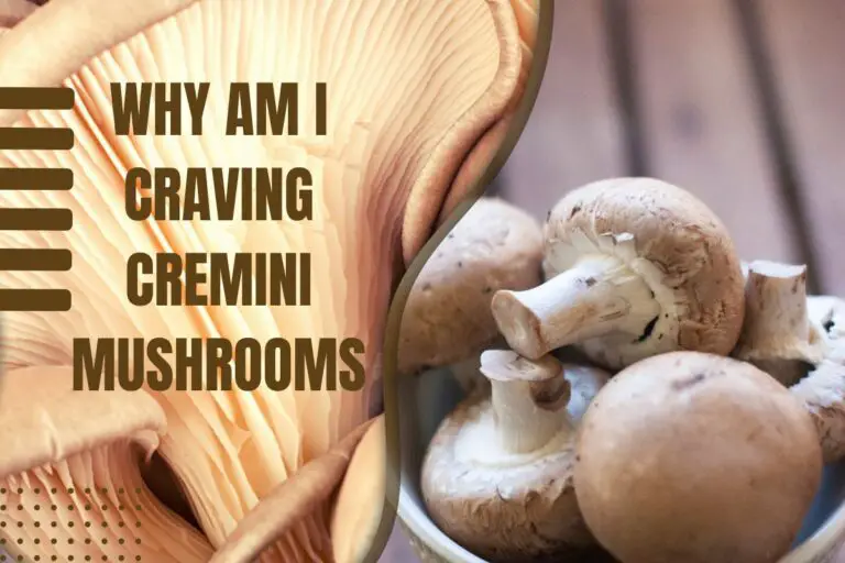 Why Am I Craving Cremini Mushrooms