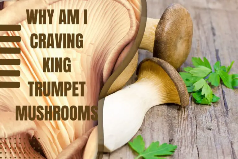 Why Am I Craving King Trumpet Mushrooms