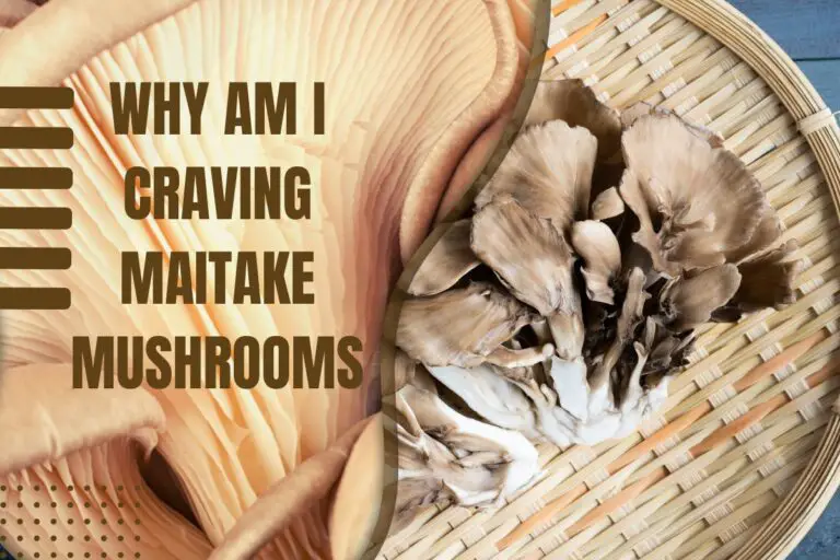 Why Am I Craving Maitake Mushrooms