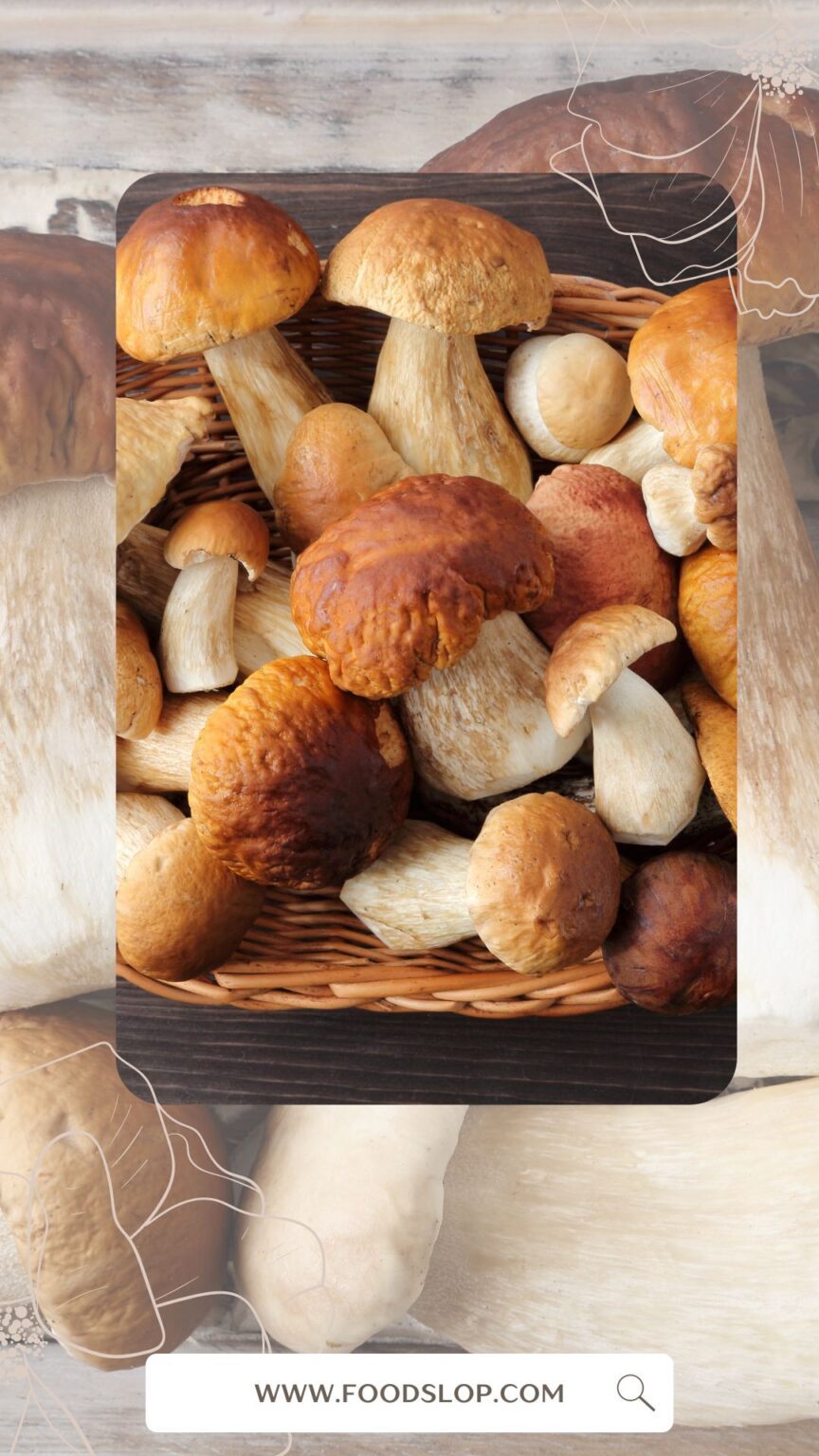 Why Am I Craving Porcini Mushrooms [Answered!]