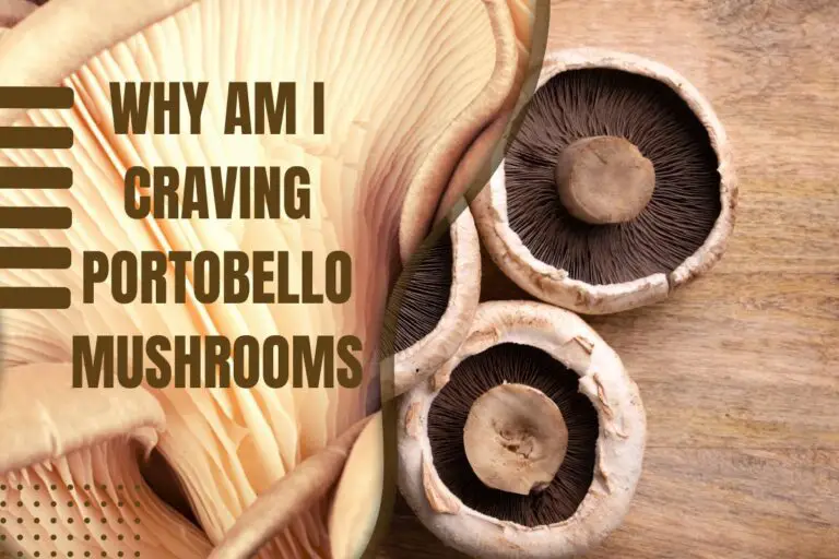 Why Am I Craving Portobello Mushrooms.