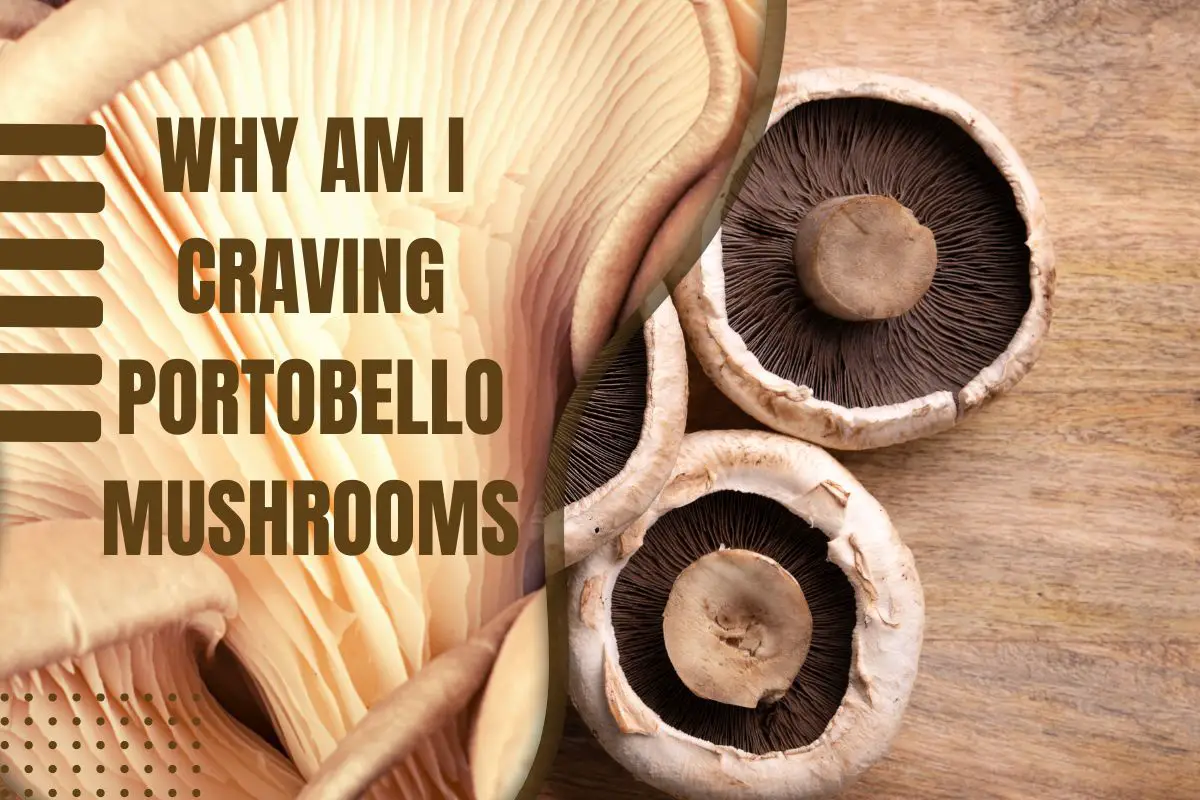 Why Am I Craving Portobello Mushrooms [Solved!]