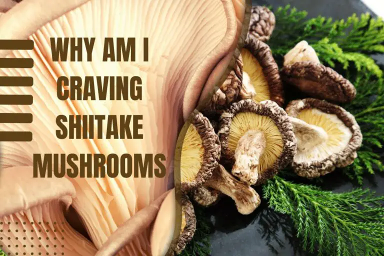 Why Am I Craving Shiitake Mushrooms