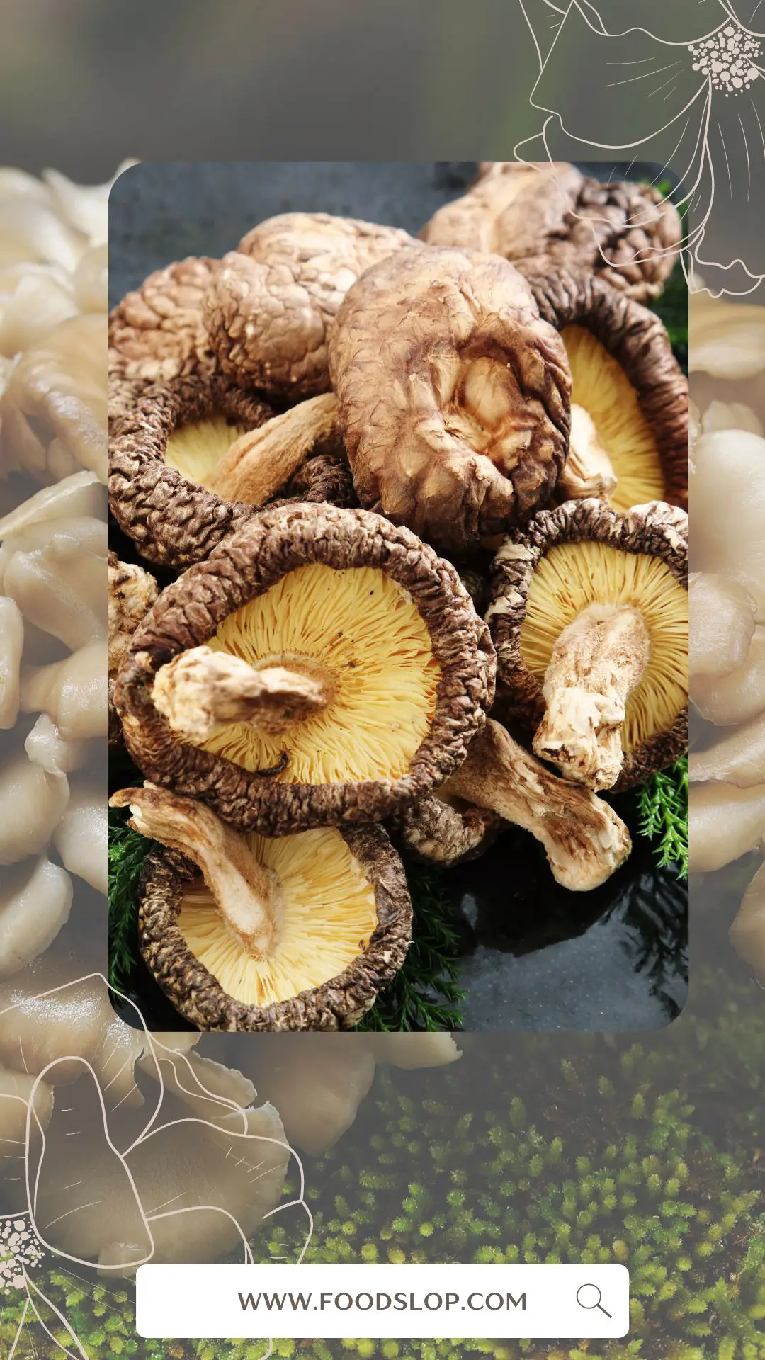 Why Am I Craving Shiitake Mushrooms