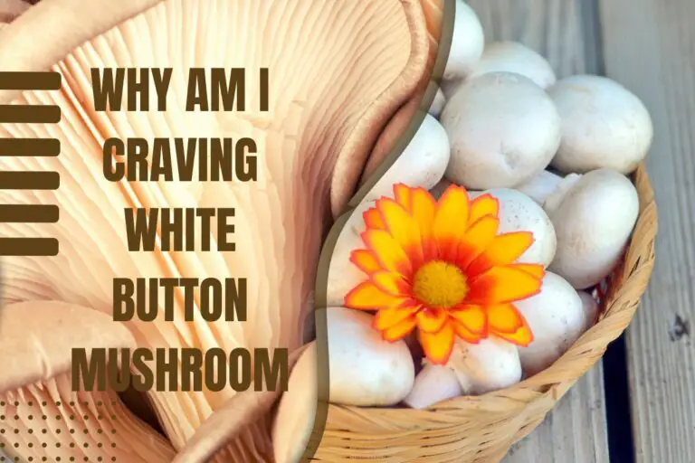Why Am I Craving White Button Mushroom