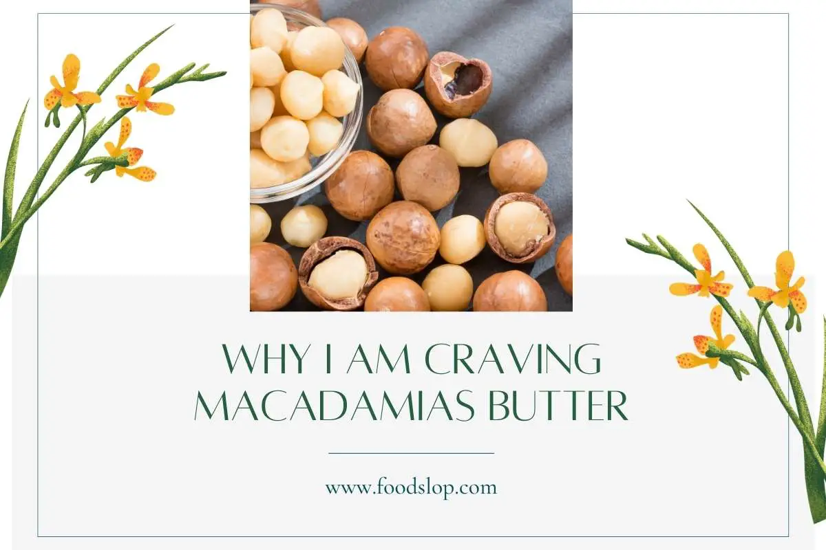 Why I Am Craving Macadamias Butter [Explained!]