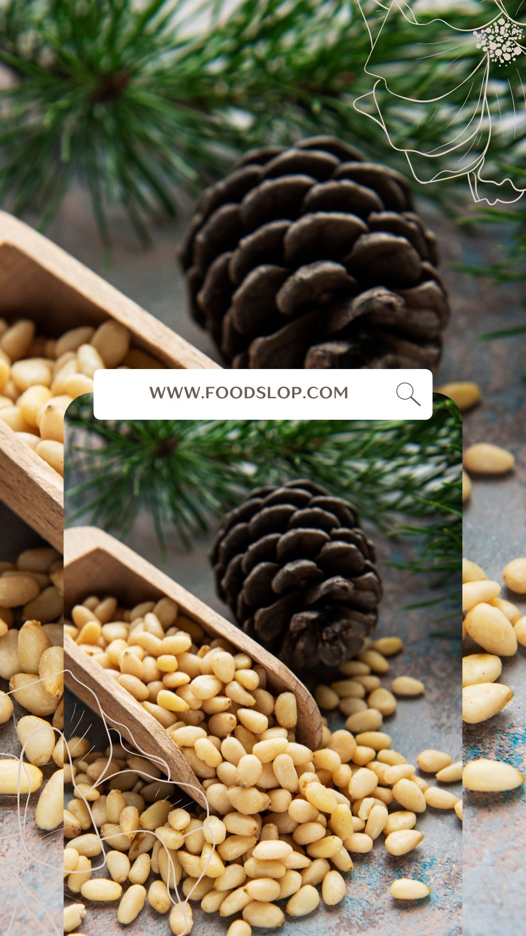 why-i-am-craving-pine-nuts-butter-explained-foodslop