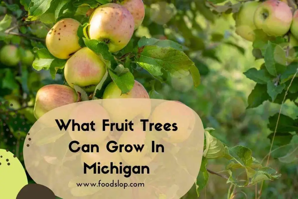 What Fruit Trees Can Grow In Michigan Answered Foodslop
