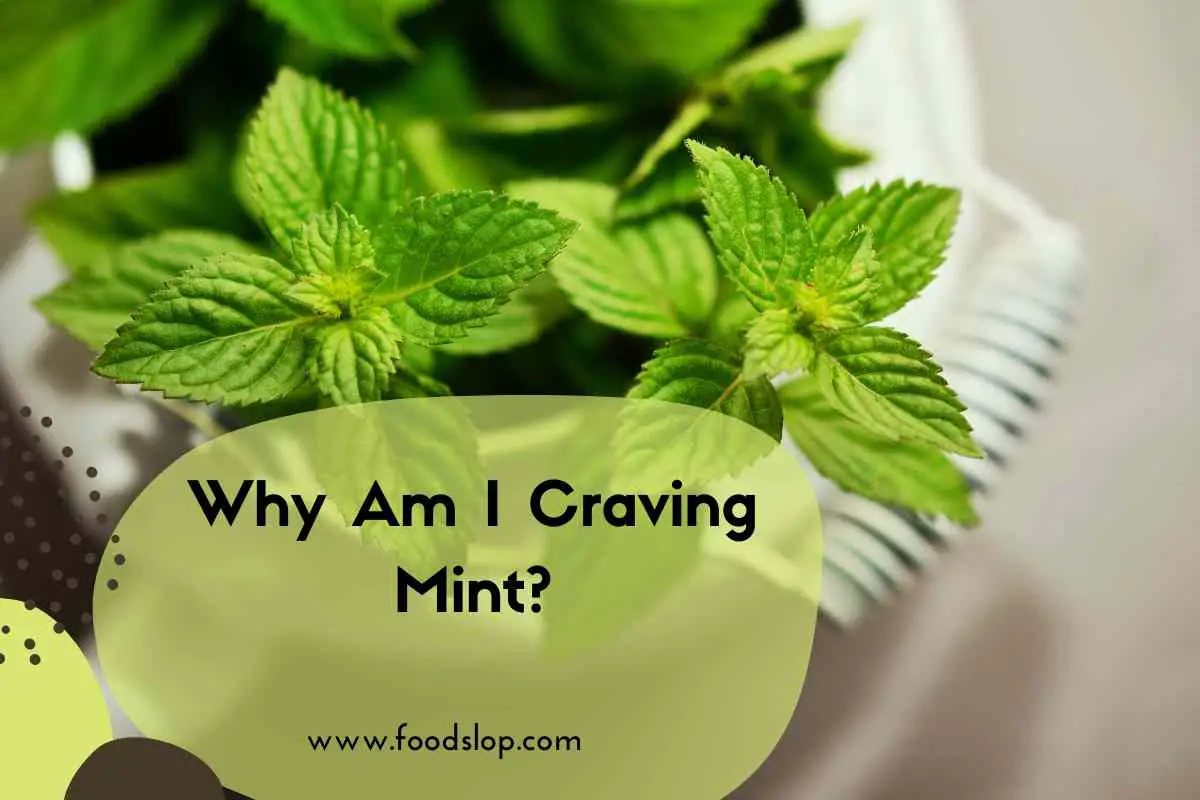 Why Am I Craving Mint?