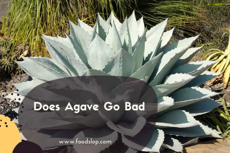 Does Agave Go Bad